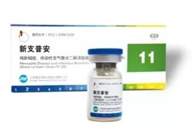 F88星宝(中国集团)官方网站