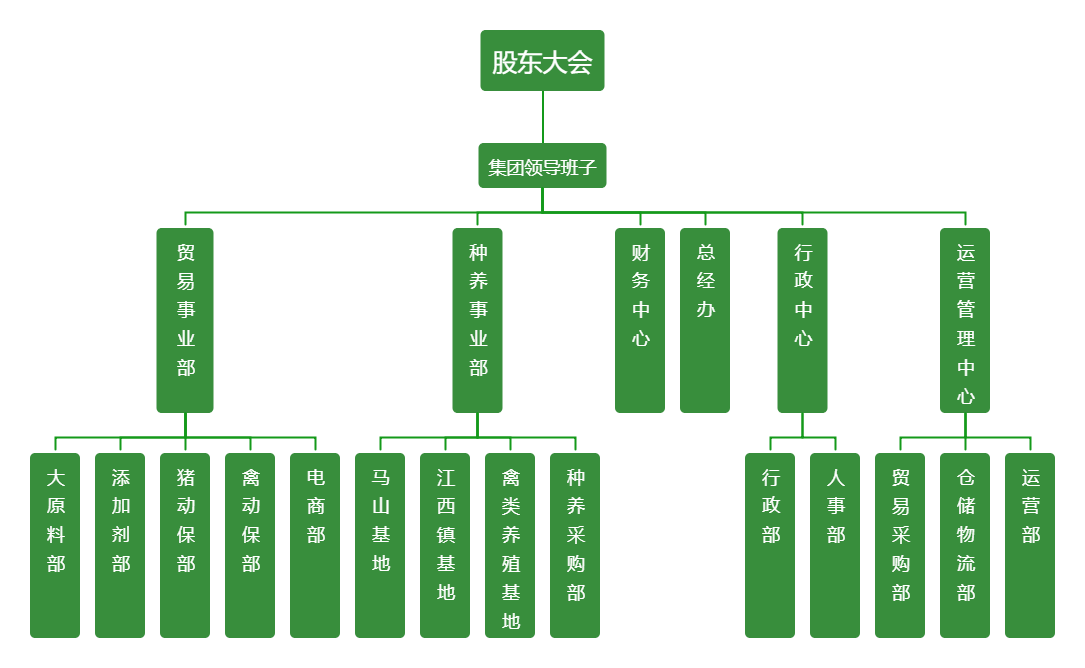 F88星宝集团架构图